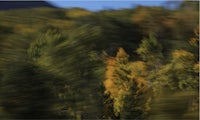 a blurry image of trees and mountains