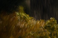 a blurry image of a person riding a skateboard