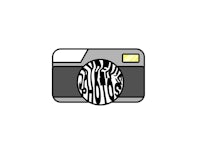 a camera with a zebra print on it