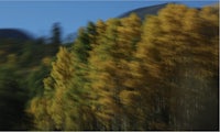 a blurry image of trees and mountains