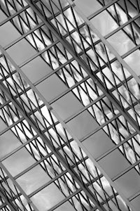 a black and white photo of a glass roof